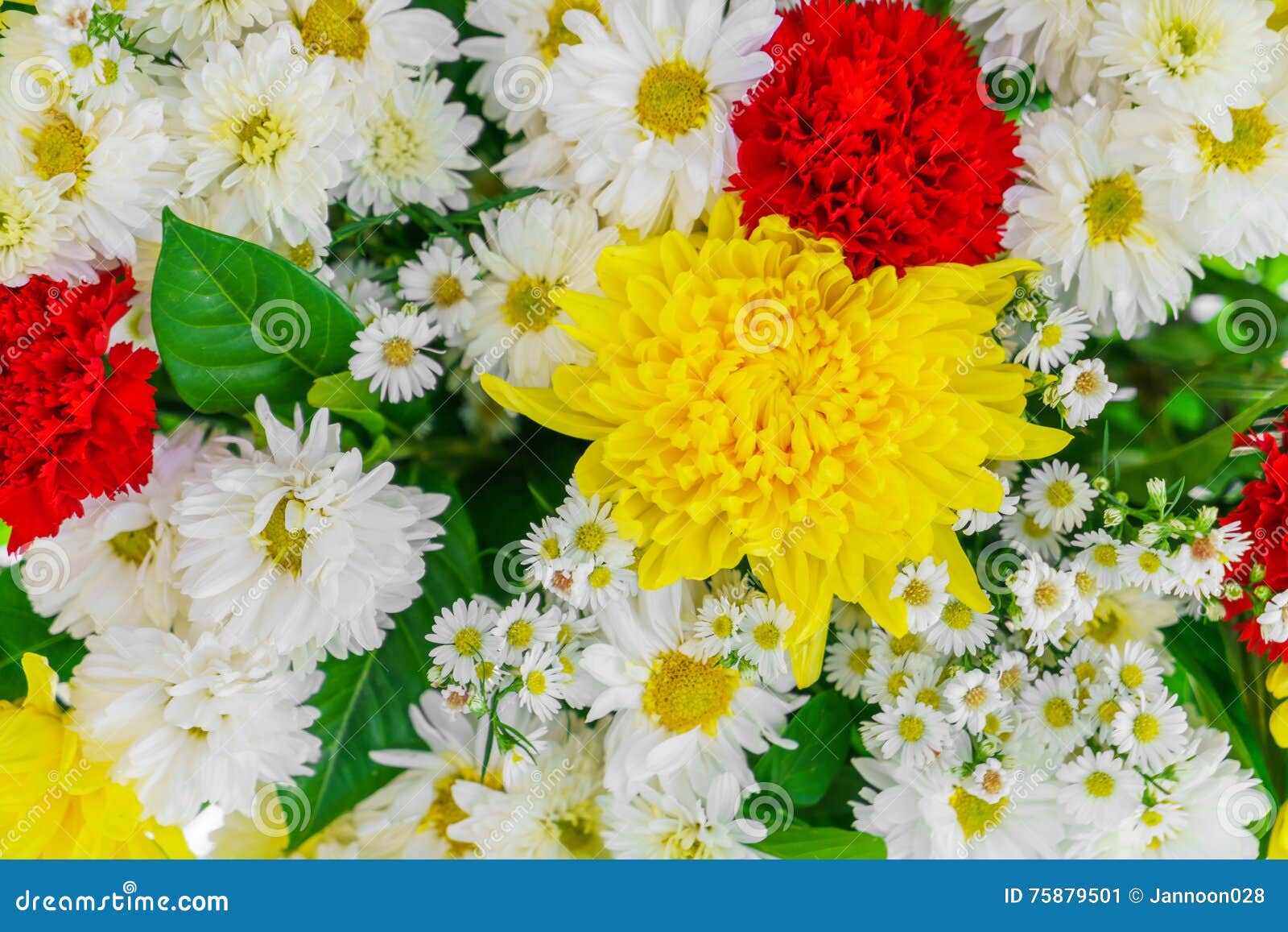 .Beautiful Flowers for Valentines and Wedding Scene Stock Image - Image ...