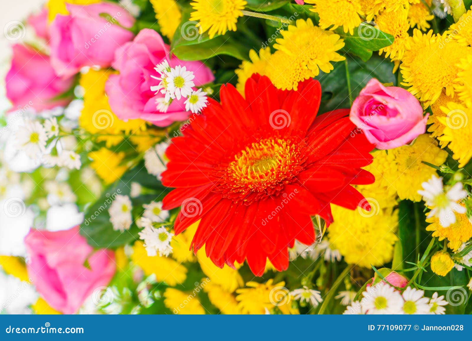 .Beautiful Flowers for Valentines and Wedding Scene Stock Image - Image ...