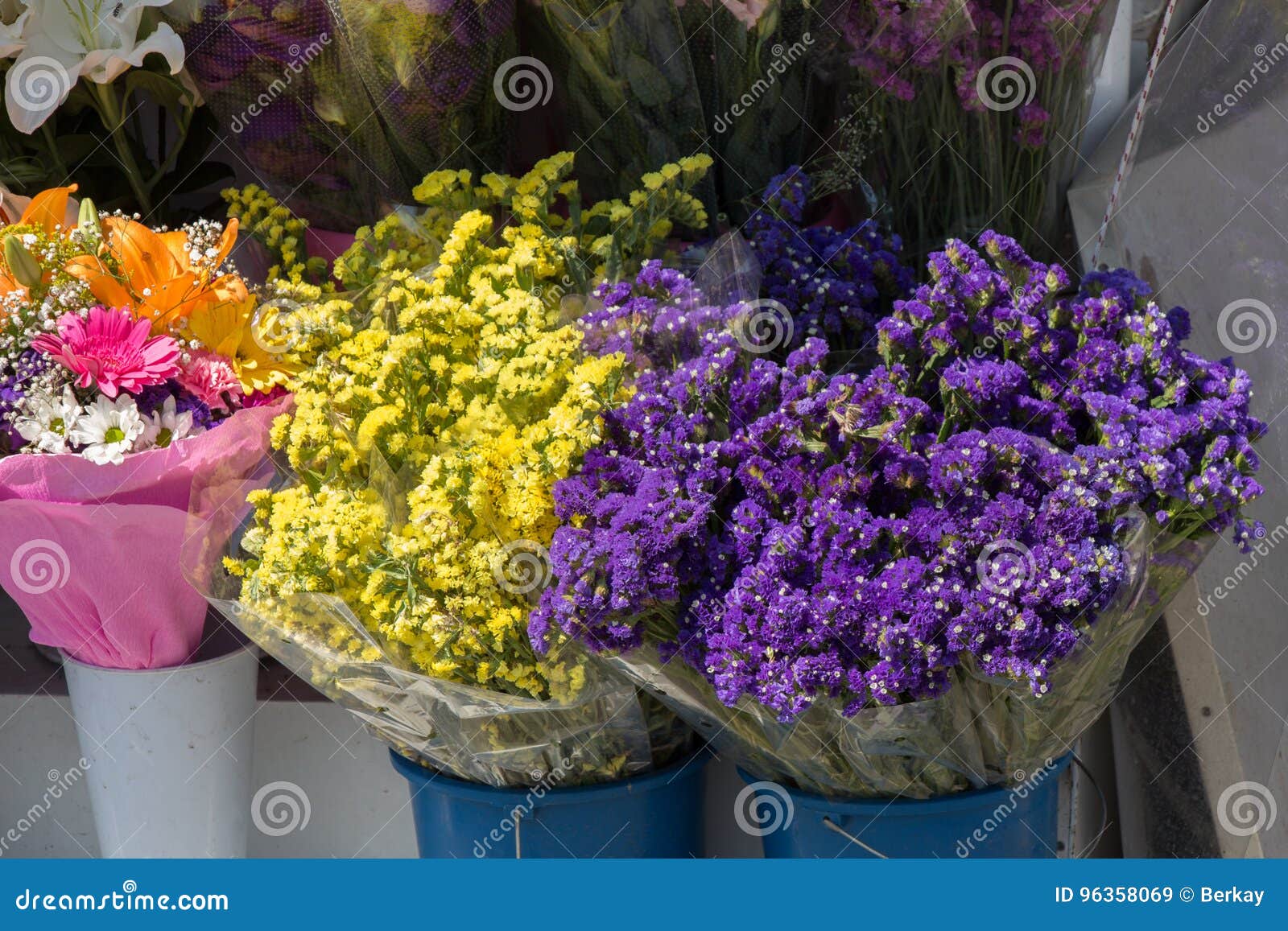 Beautiful Flowers of Various Types Stock Image Image of growth