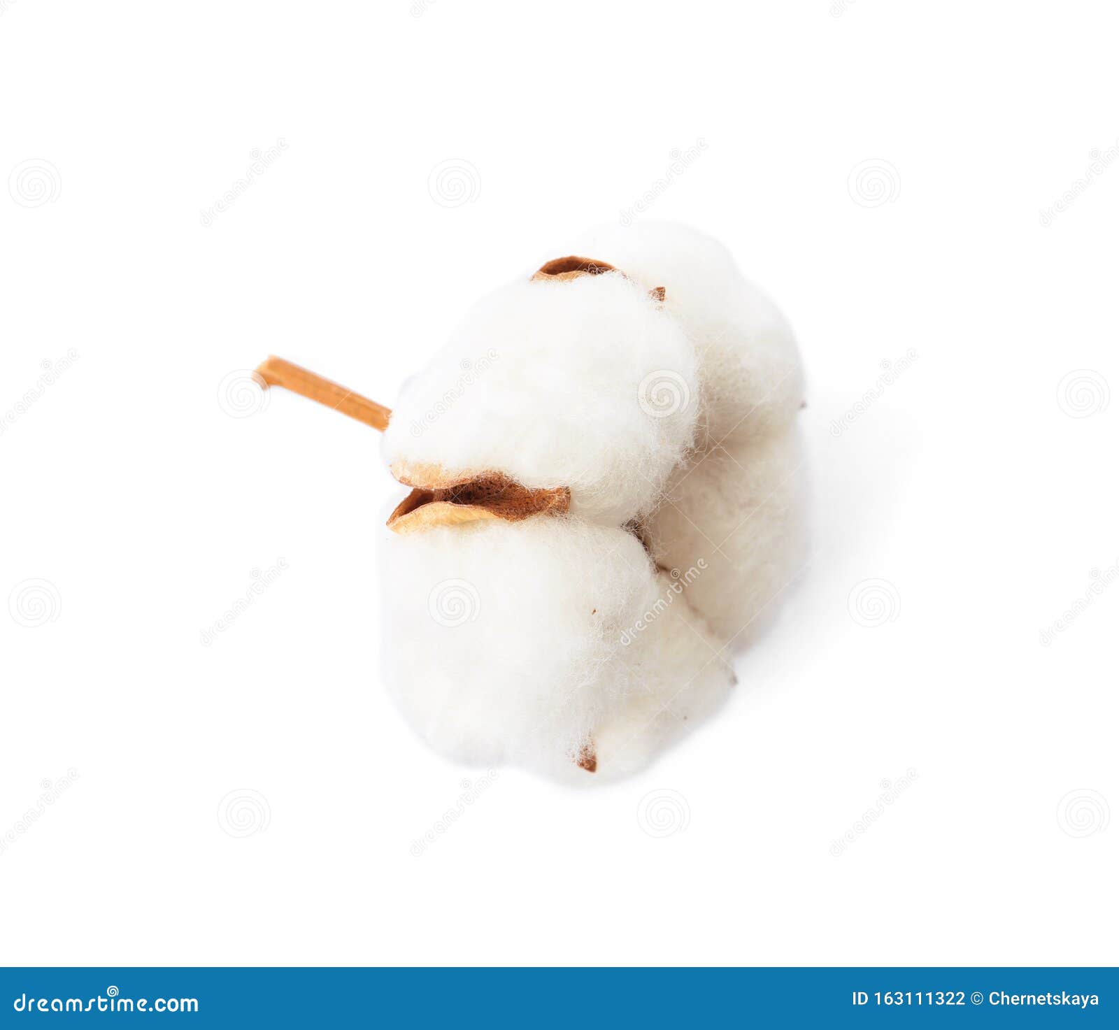 My Image 24
