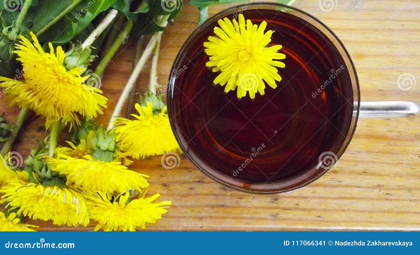 Beautiful Fluffy Dandelion. Stock Image Image of tisane, herb 117066341