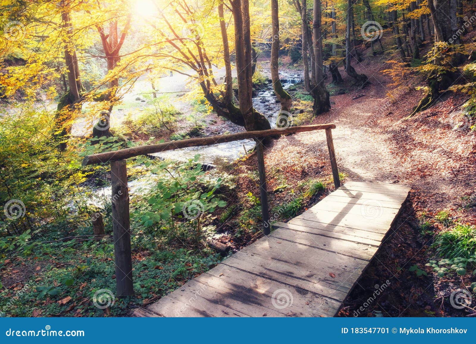 Beautiful Forest With Creek In A Autumn Nature Beauty World Of Fall