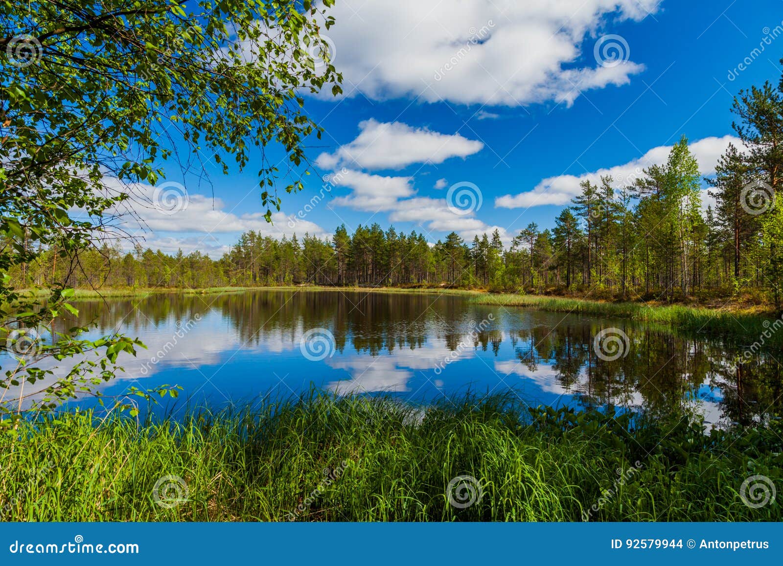 Beautiful Forest Lake with Clouds. Finland Stock Photo Image of blue