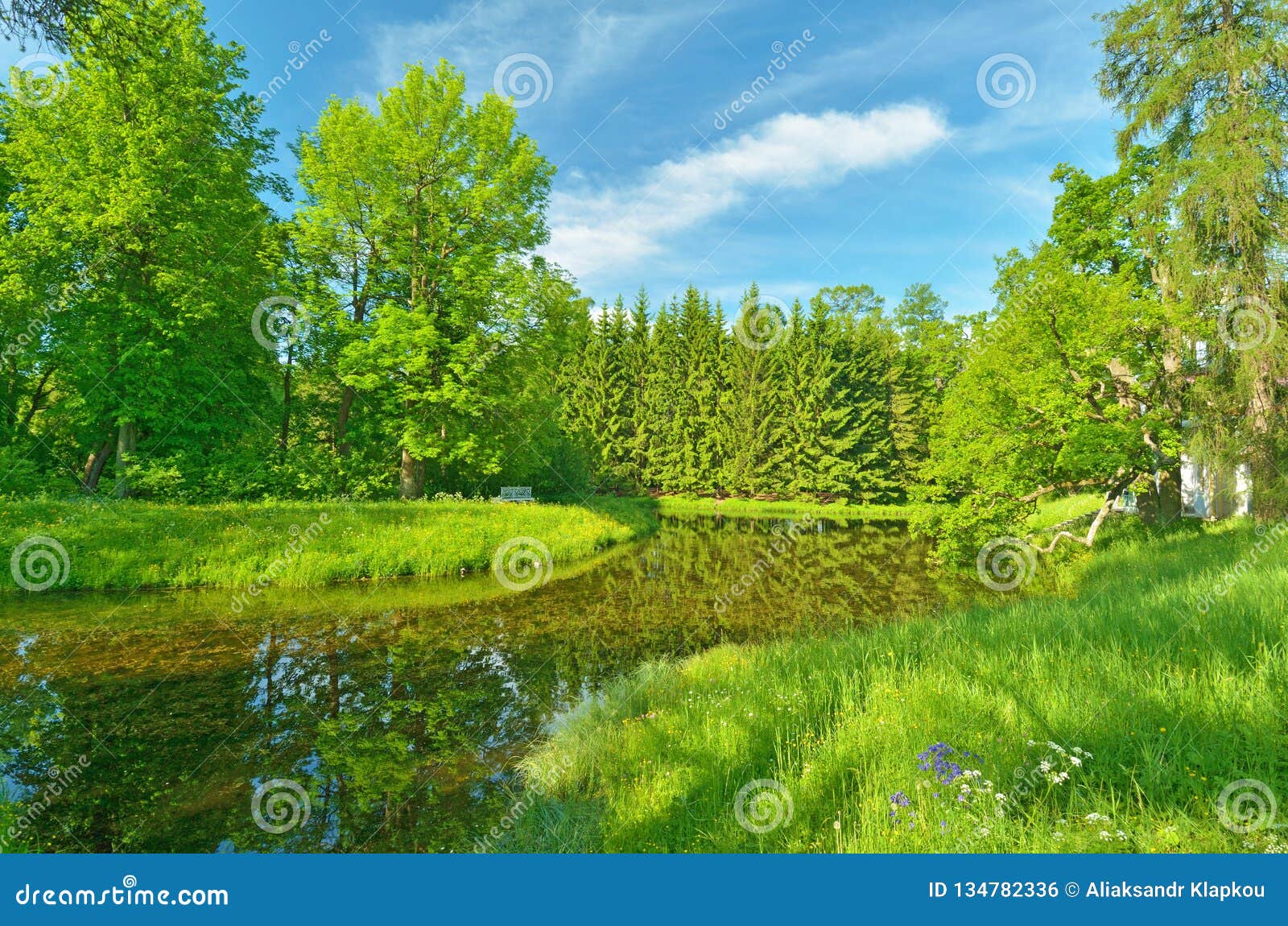 Beautiful Forest Landscape Stock Photo Image Of Trees