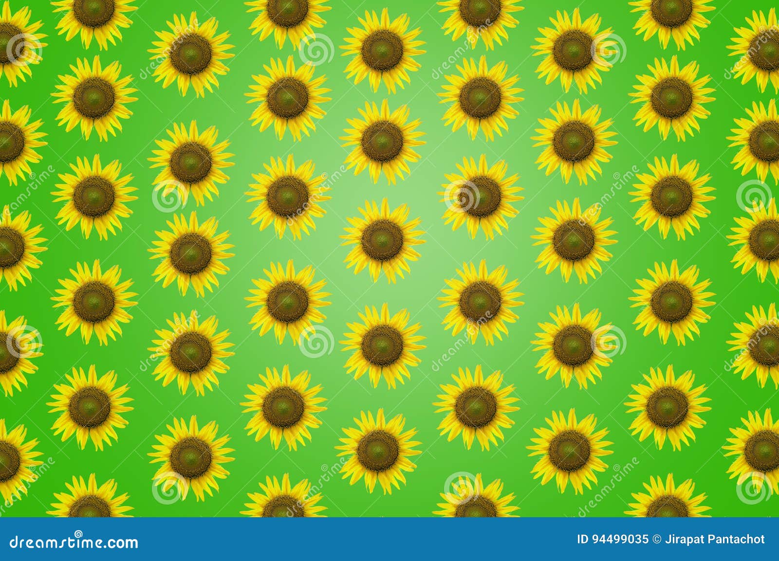 Beautiful Frame Sunflower Background Texture Wallpaper Stock Image
