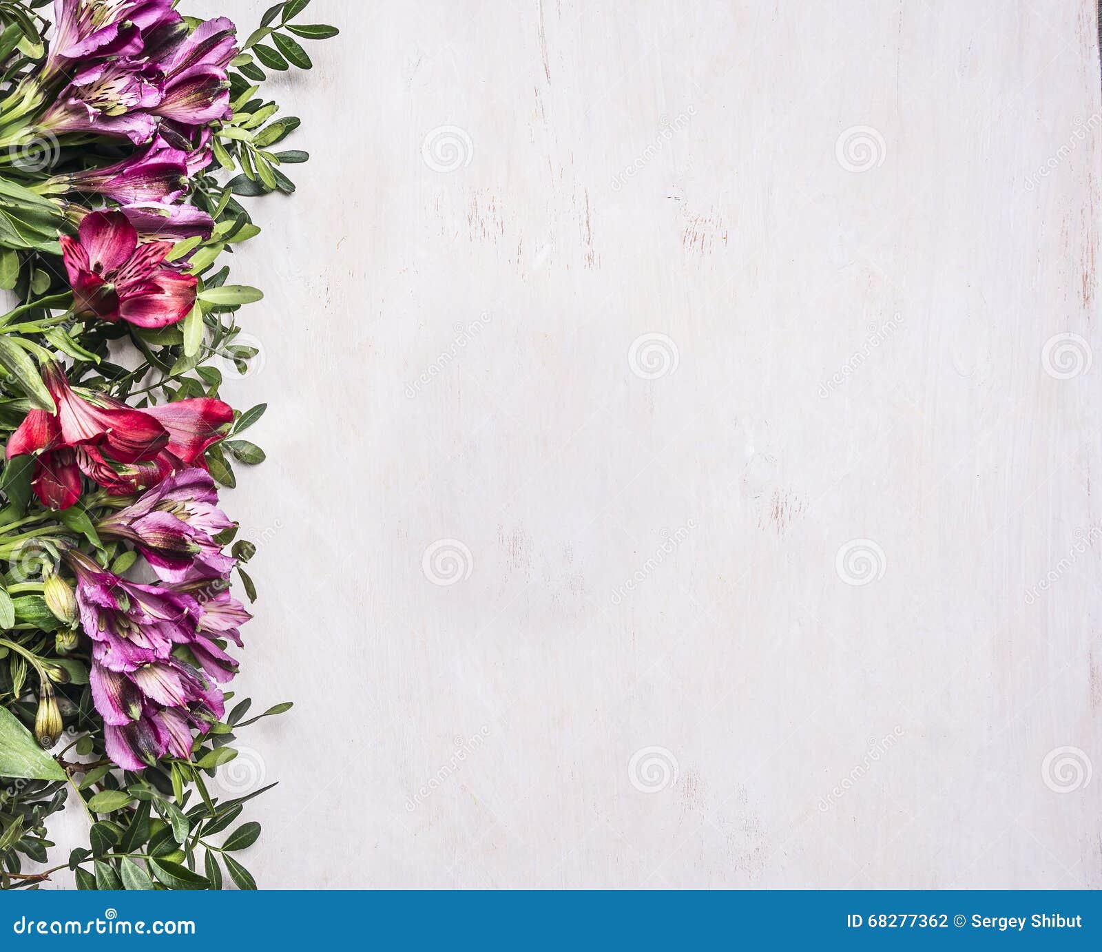 Beautiful Freesya Multicolored Flowers With Green Leaves ...