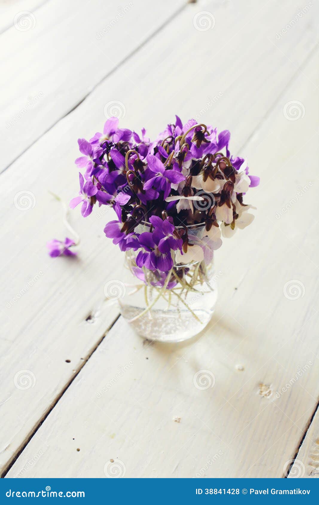 Beautiful fresh violets on white table. Toned image.