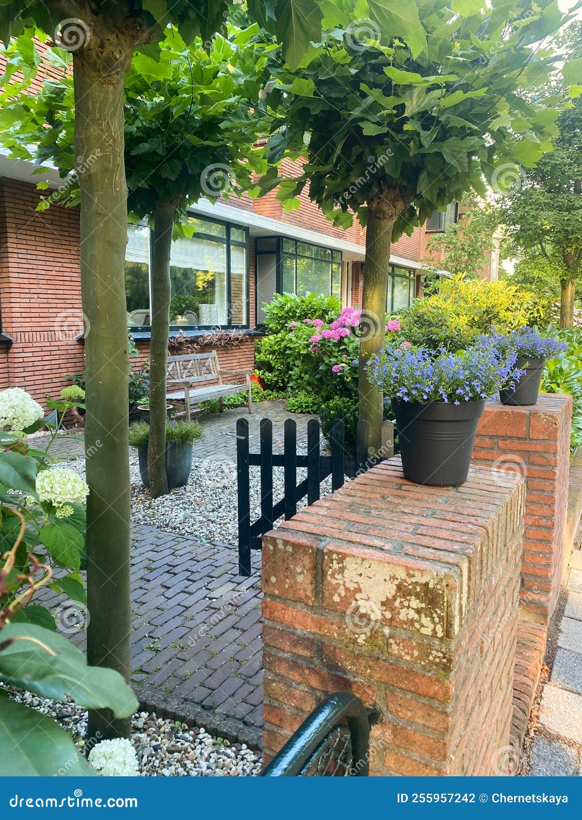 Beautiful Front Yard with Different Plants and Trees Stock Photo