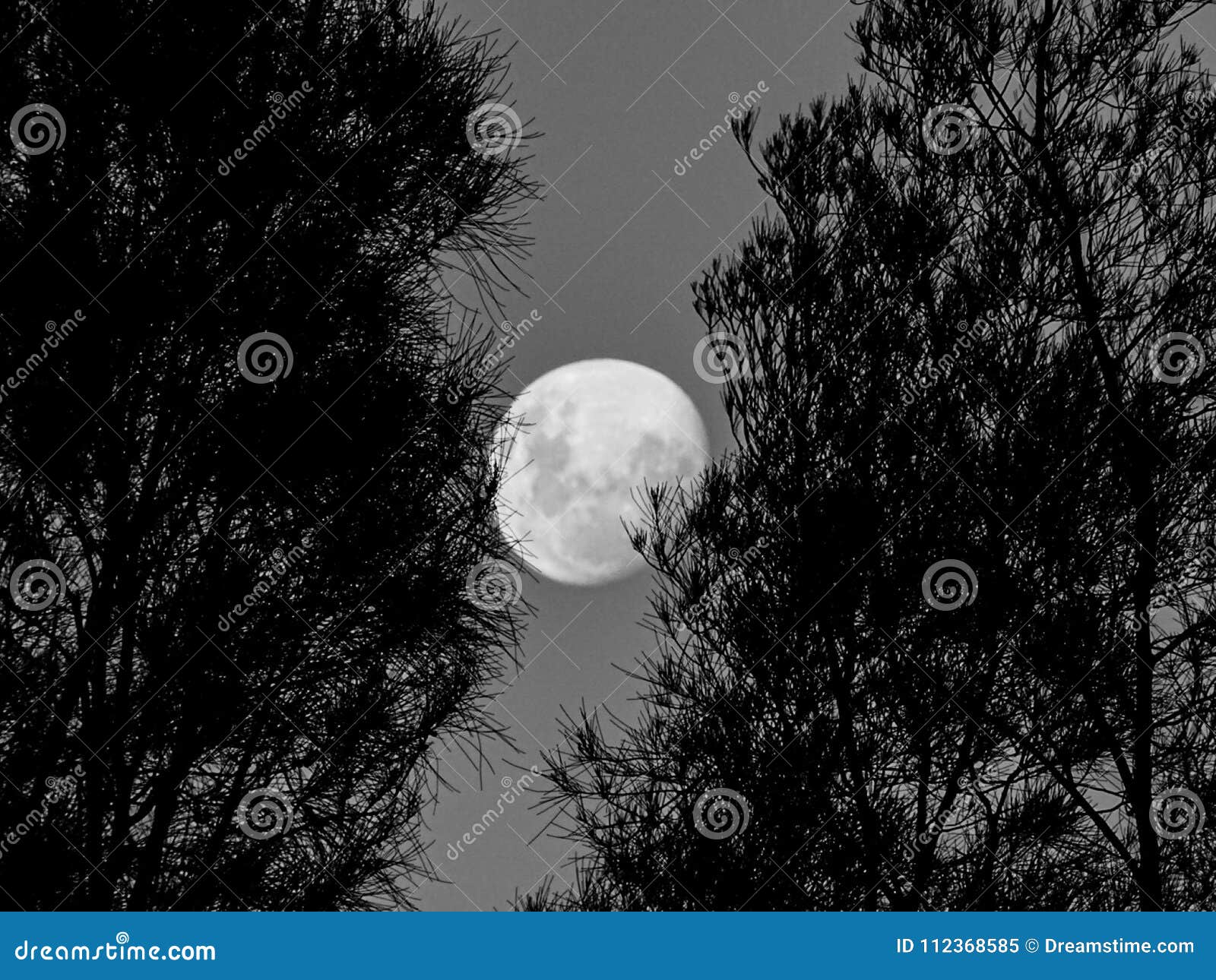 Full Moon Sydney Stock Image Image Of Newsouthwales 112368585