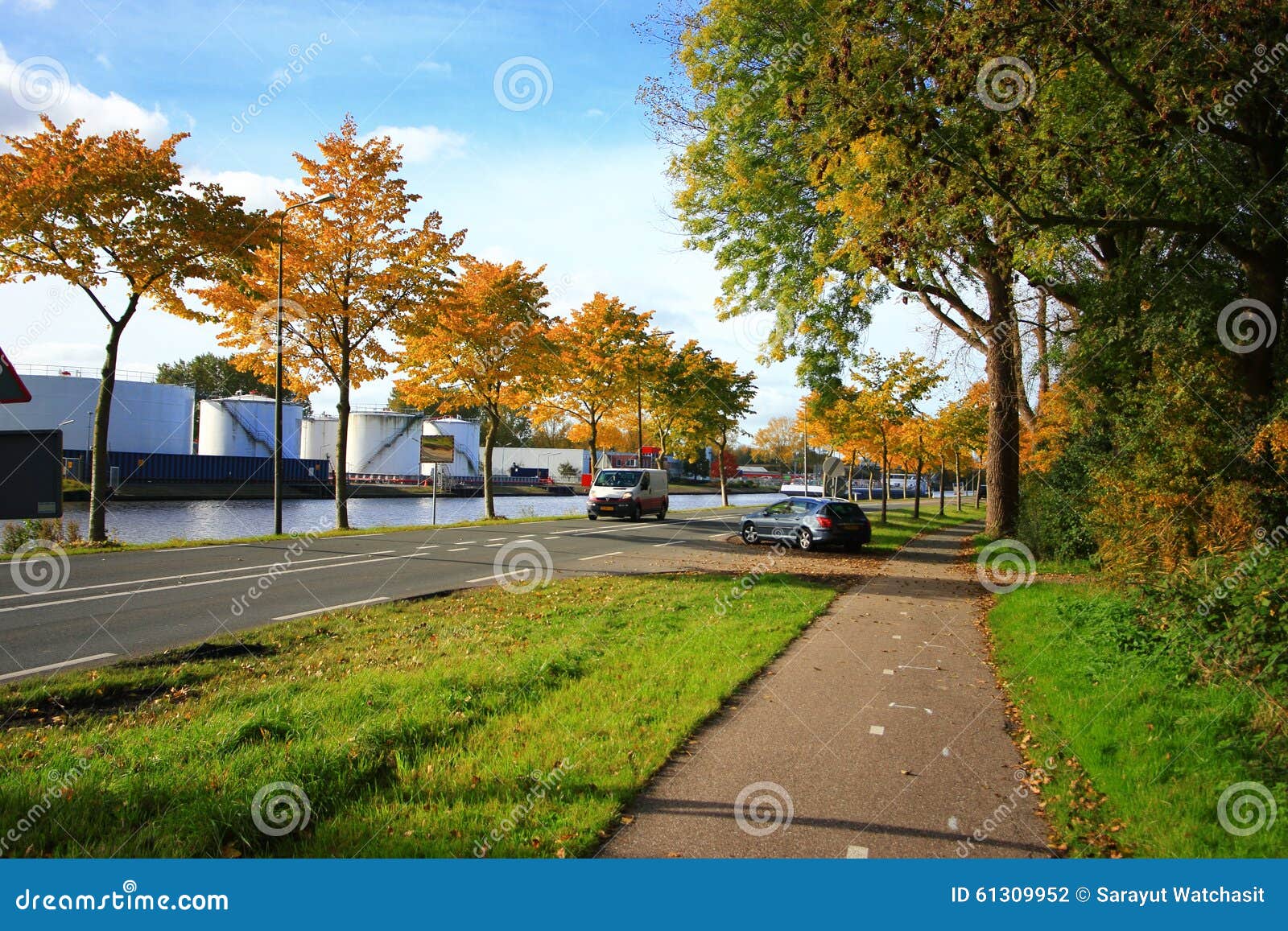 Beautiful Garden in Autumn stock photo. Image of tree - 61309952