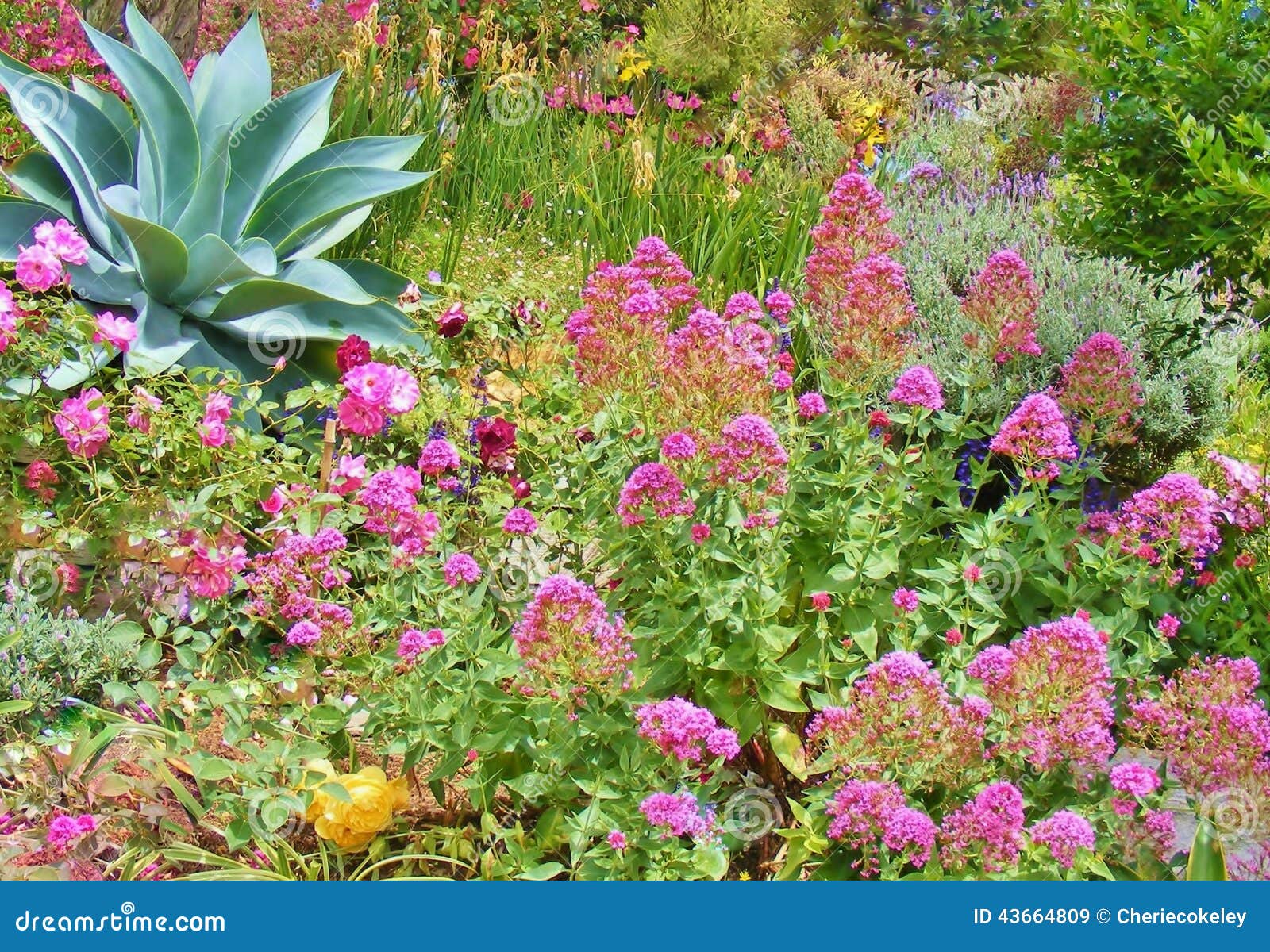 Resultado de imagen de imagenes de flores plantas y arboles