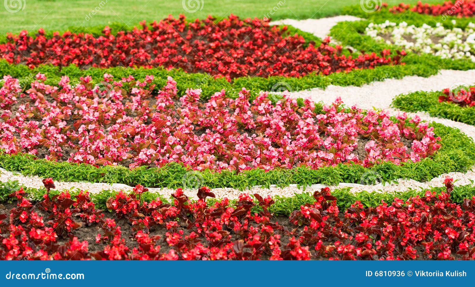 Beautiful Garden with Flowers Stock Photo - Image of elegant