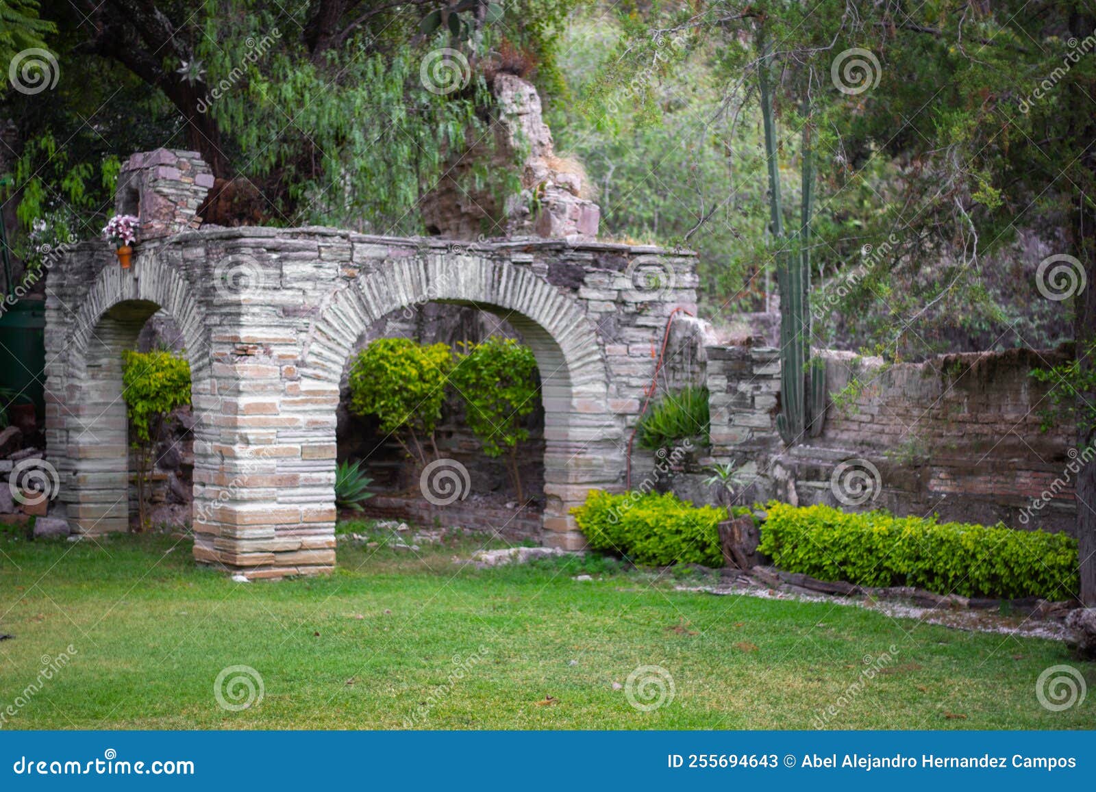 beautiful garden at hotel mision from guanajuato