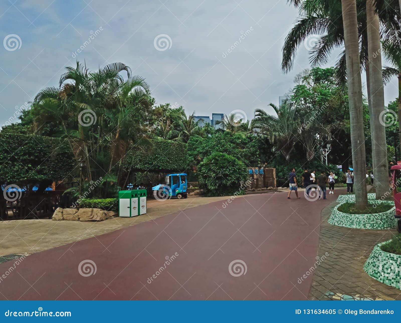 Beautiful Garden With Palm Trees In Shenzhen City Editorial Image