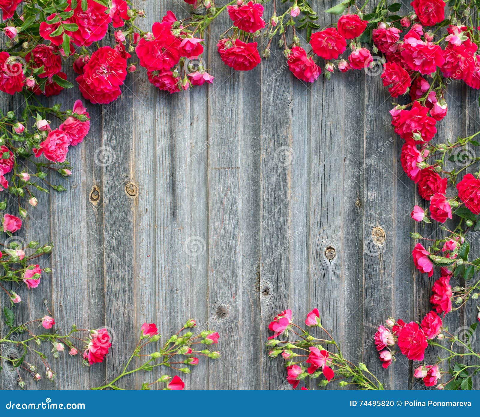 Beautiful Garden Red Roses on Weathered Wood Retro Styled Textured  Background. Romantic Floral Frame Background Stock Photo - Image of retro,  scrapbook: 74495820