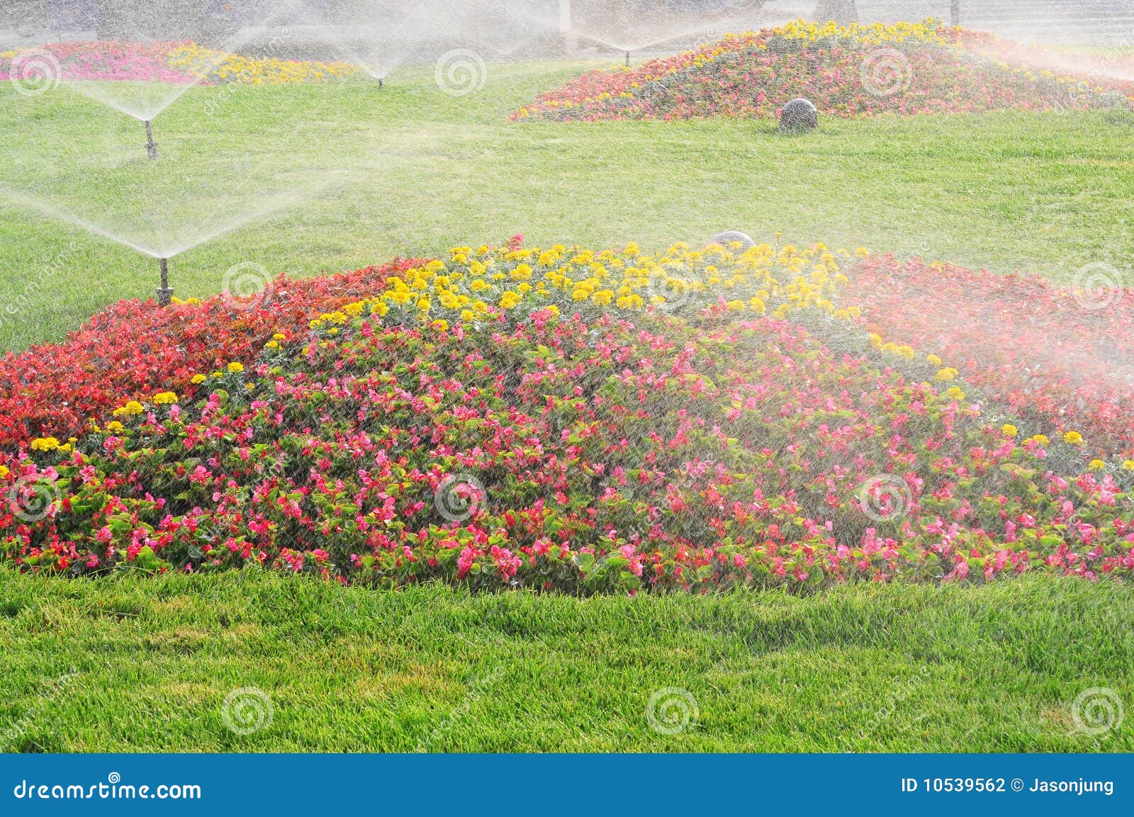 Beautiful Garden with Spray Stock Photo Image of meadow, grass 10539562