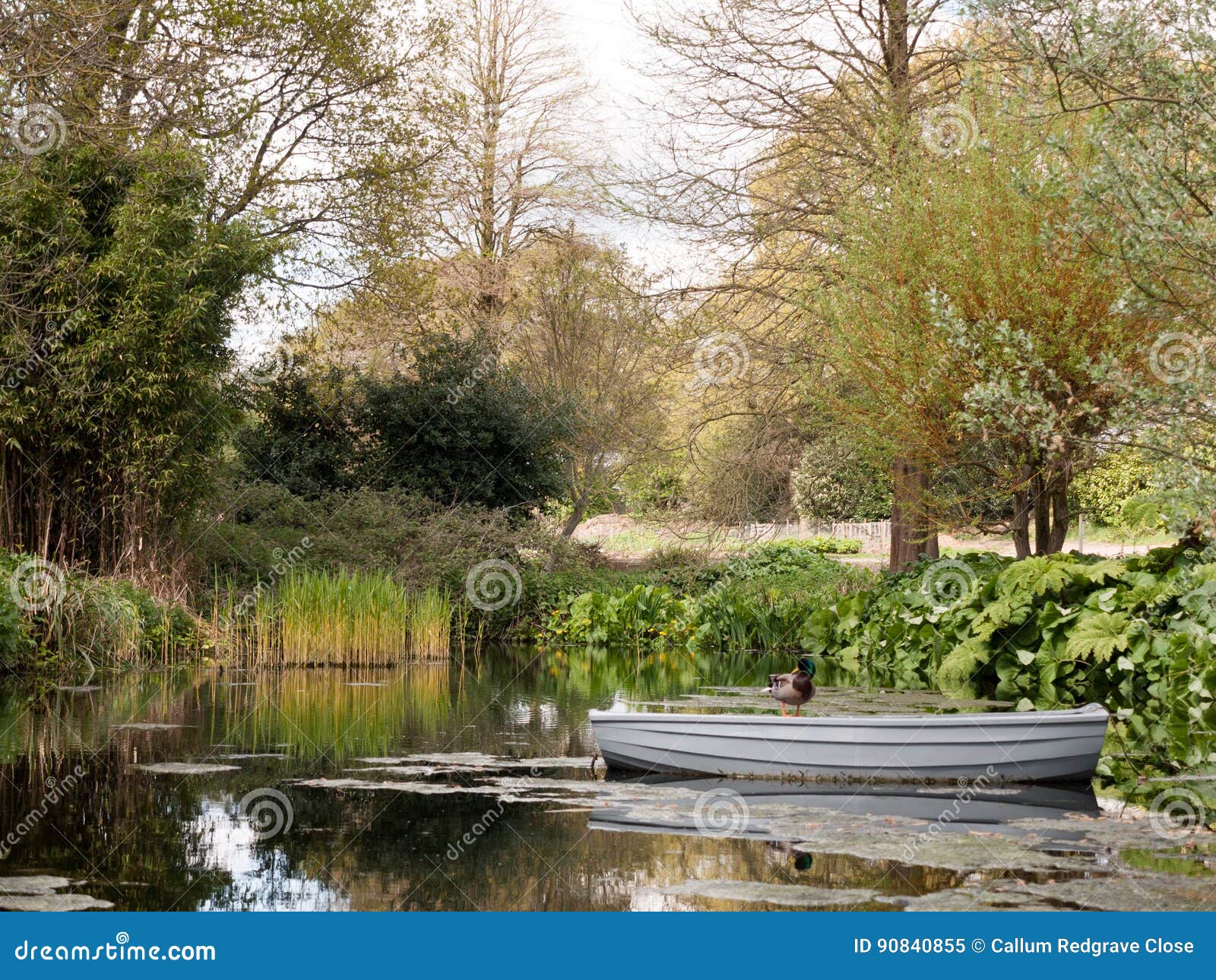 A Beautiful Garden with Trees and Plants and Lake in the Spring in the