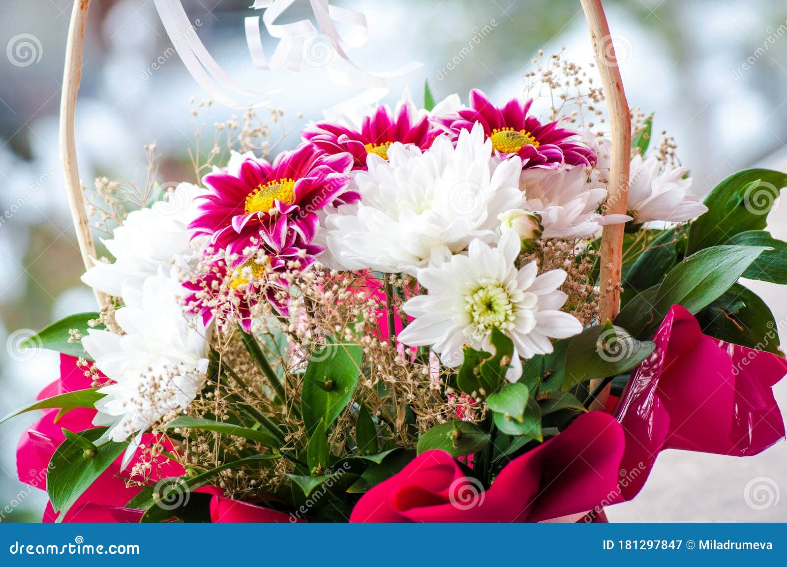 Beautiful Gerbera Flower Basket for a Gift. Stock Image Image of gift