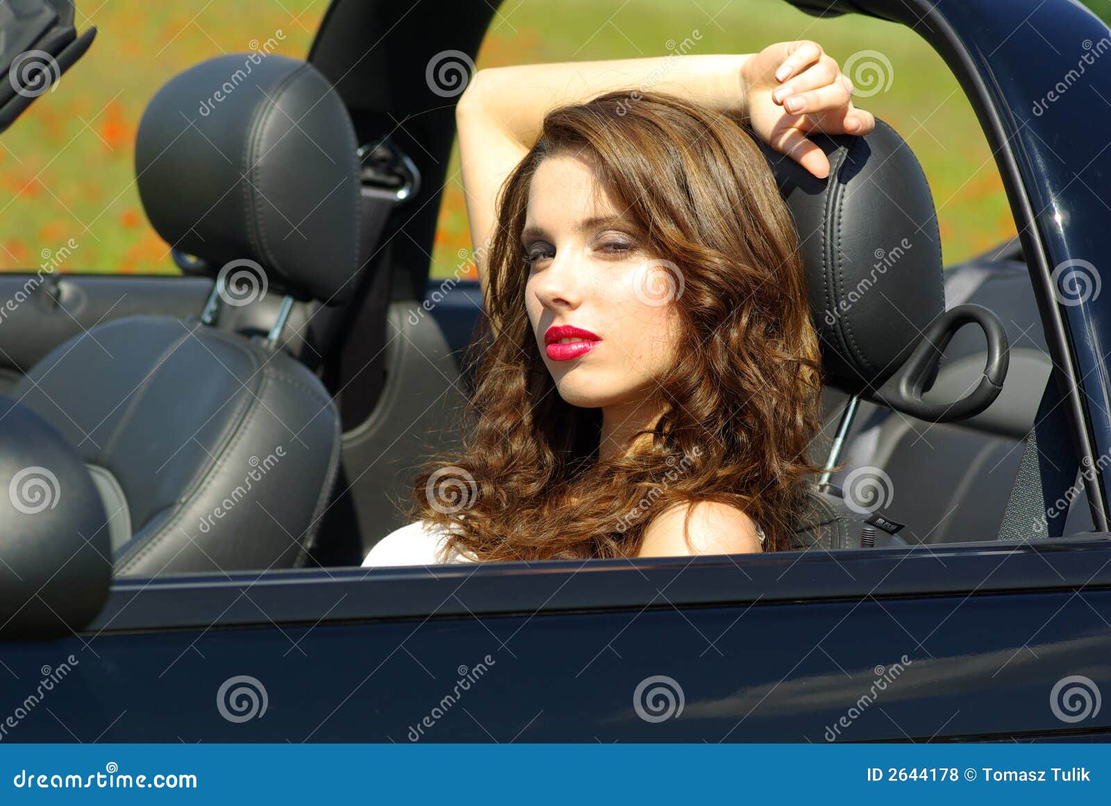 Beautiful girl in car stock photo. Image of grass, golden  2644178