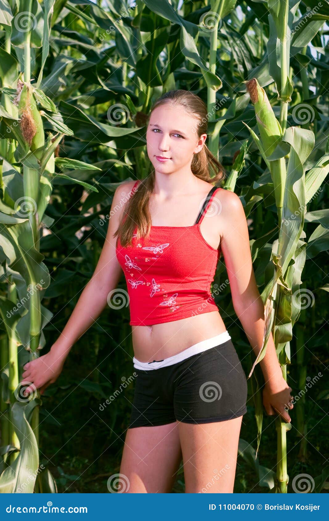 Beautiful Girl in a Cornfield Stock Photo Image of girl, corn 11004070