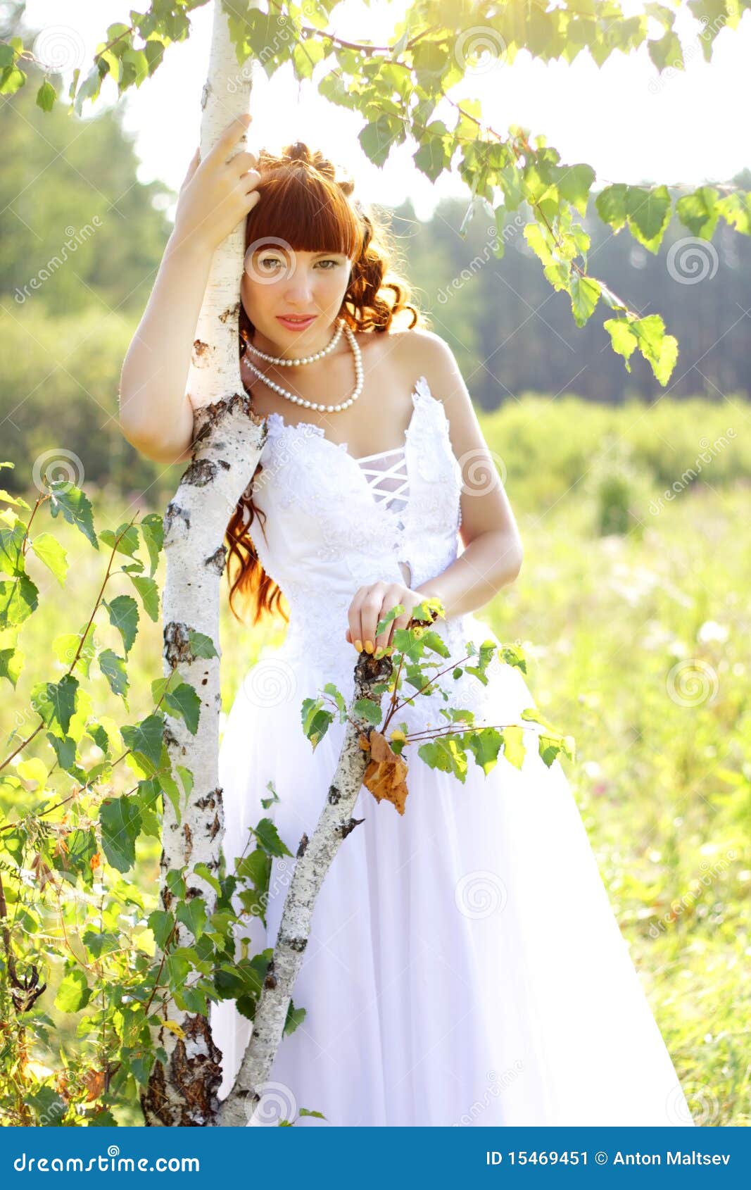 Beautiful girl in a dress stock image. Image of beautiful - 15469451