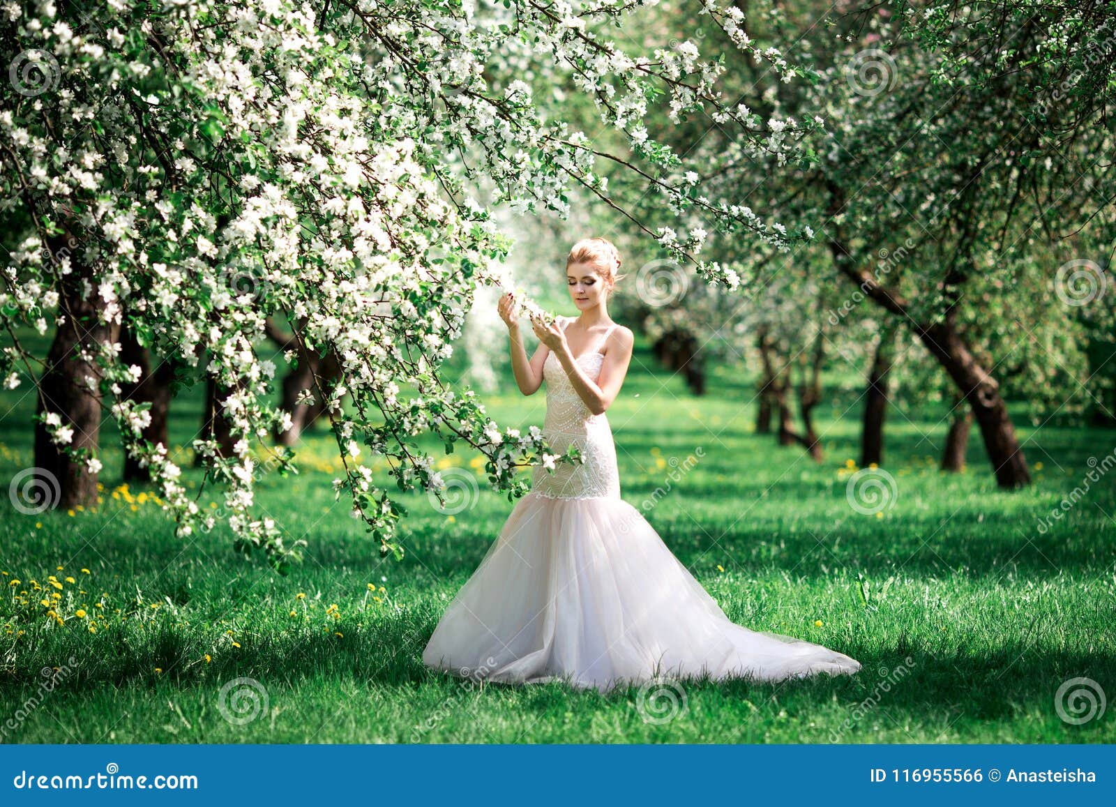 Beautiful Girl Hands With A Branch Of A Blossoming Apple Tree Young Beautiful Blonde Woman In