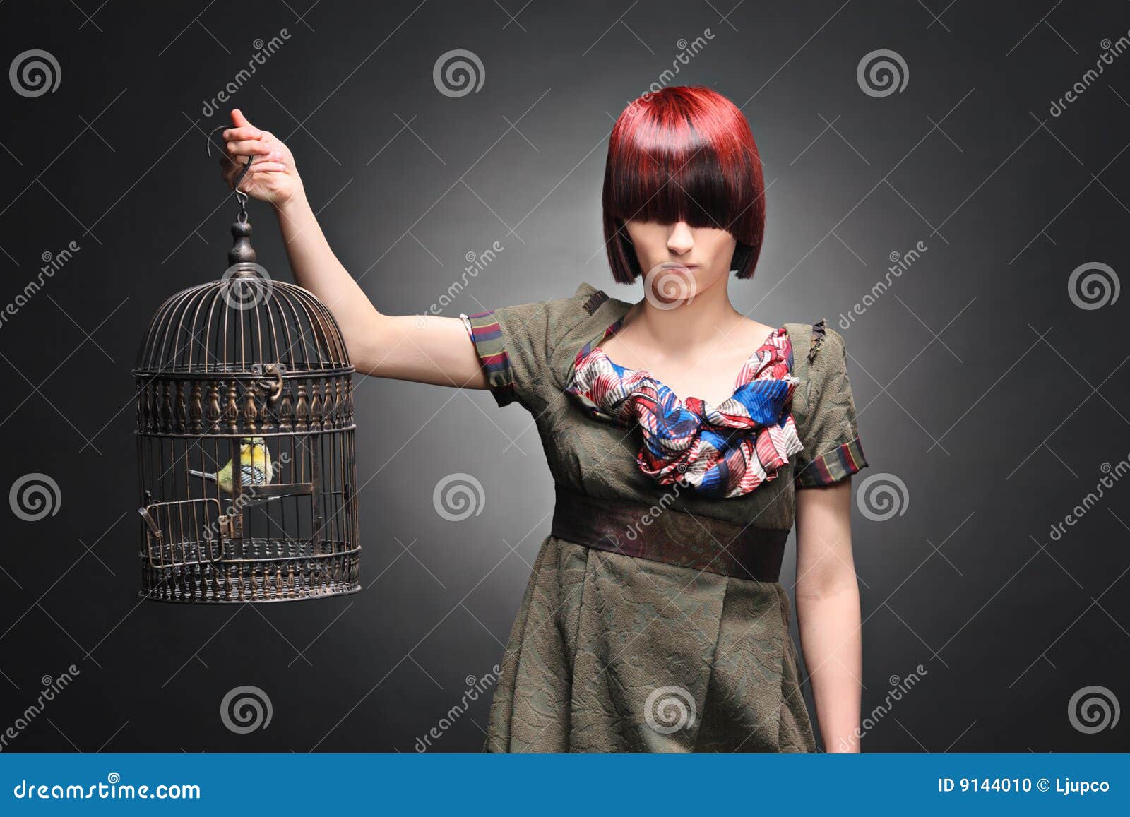 Beautiful Girl Holding A Birdcage Stock Photo - Image: 9144010