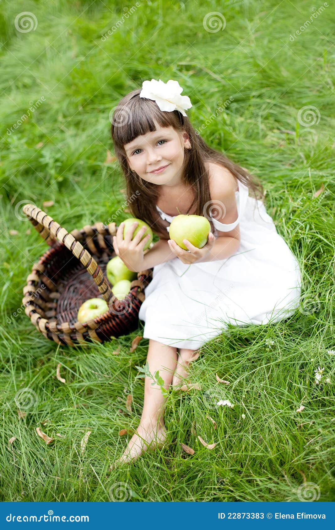 Led Lights  Accessories For Onlineledstore Com