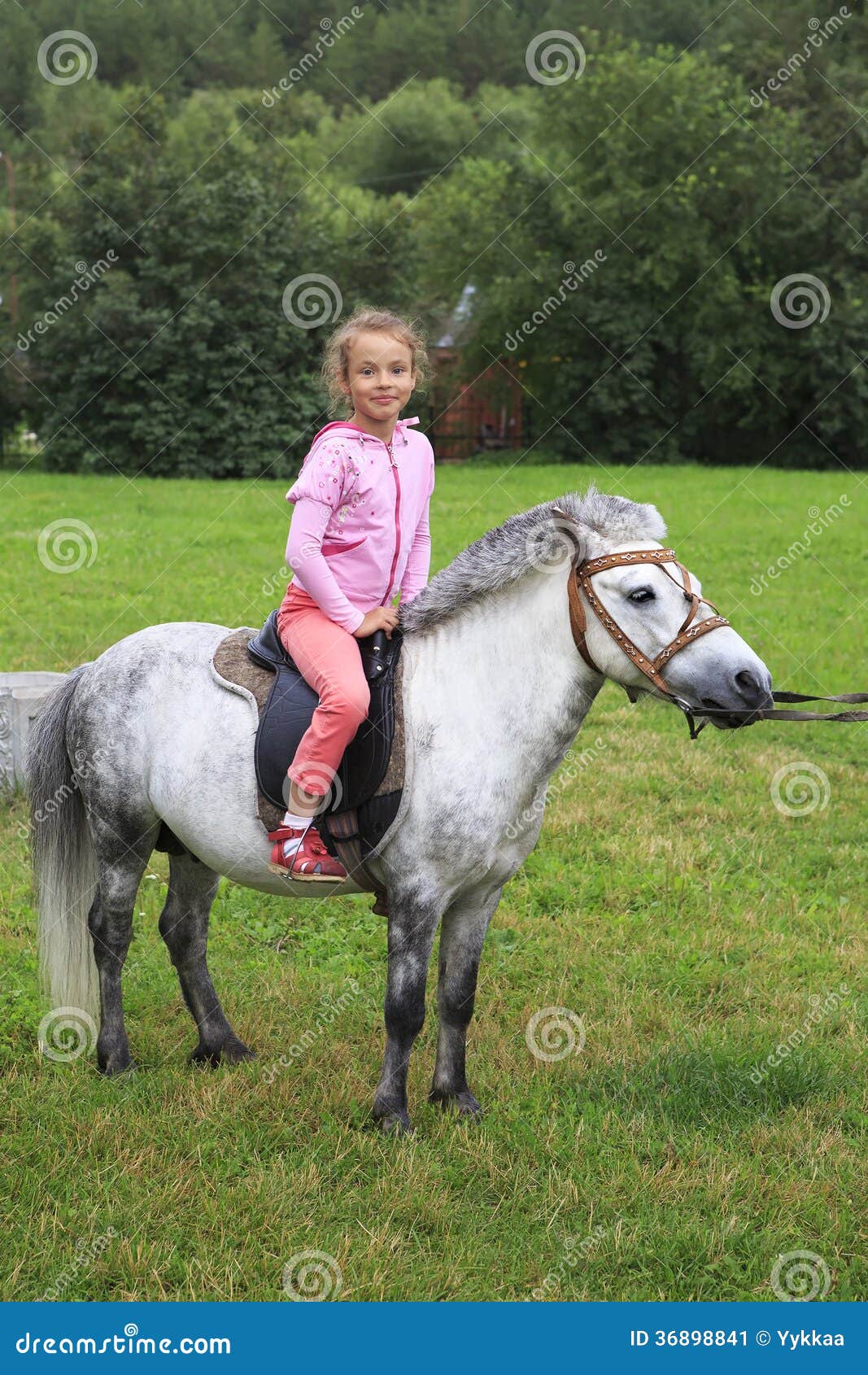 Beautiful girl on a pony. stock image. Image of care - 36898841