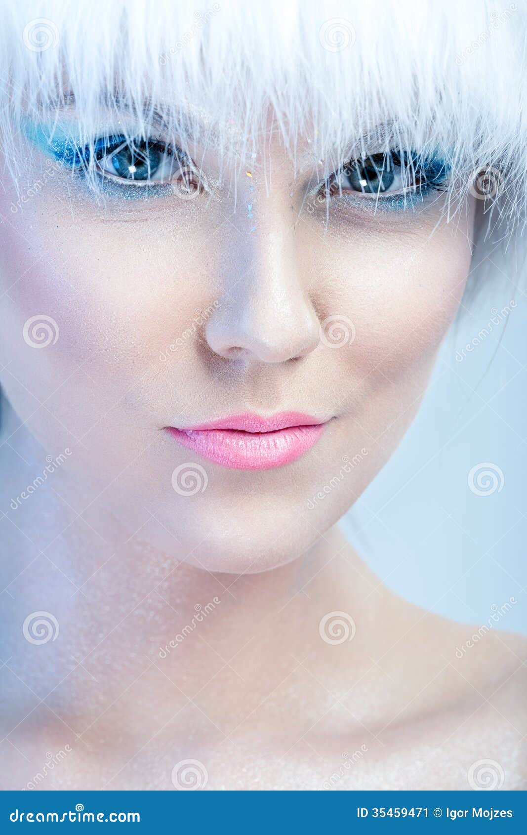 Frosty Makeup - Cool Elegance.Portrait, Close-up On The Face Of A Woman In  A Fancy Makeup. Stock Photo, Picture and Royalty Free Image. Image 38736774.