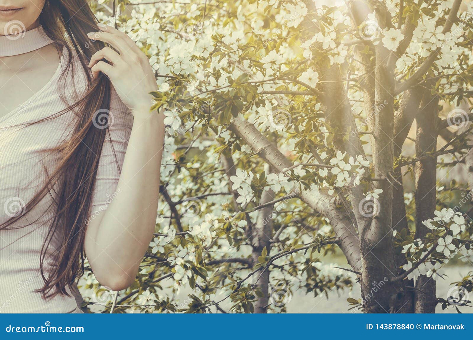 Beautiful Girl with Spring Cherry Flowers, Sunshine Backlit. Stock ...