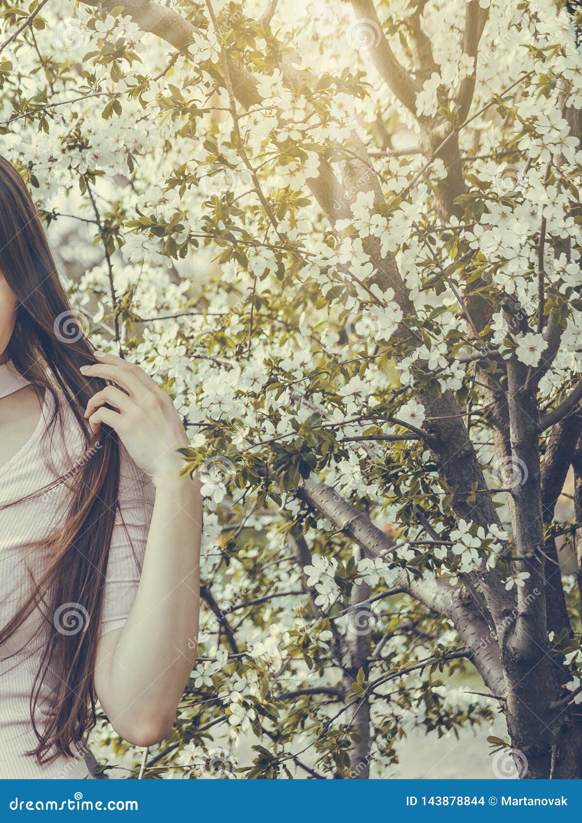 Beautiful Girl with Spring Cherry Flowers, Sunshine Backlit. Stock ...