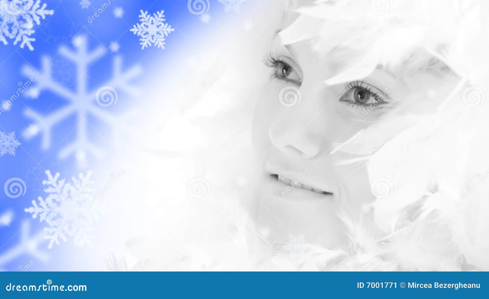 Beautiful Girl With White Feathers Stock Image - Image of human