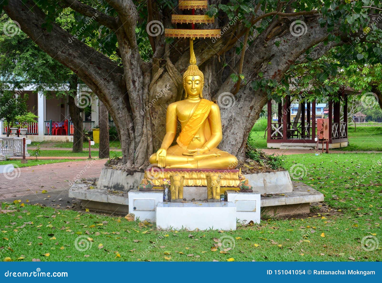 Beautiful Gold Buddha Statue Sitting Under Bodhi Tree, Peaceful ...