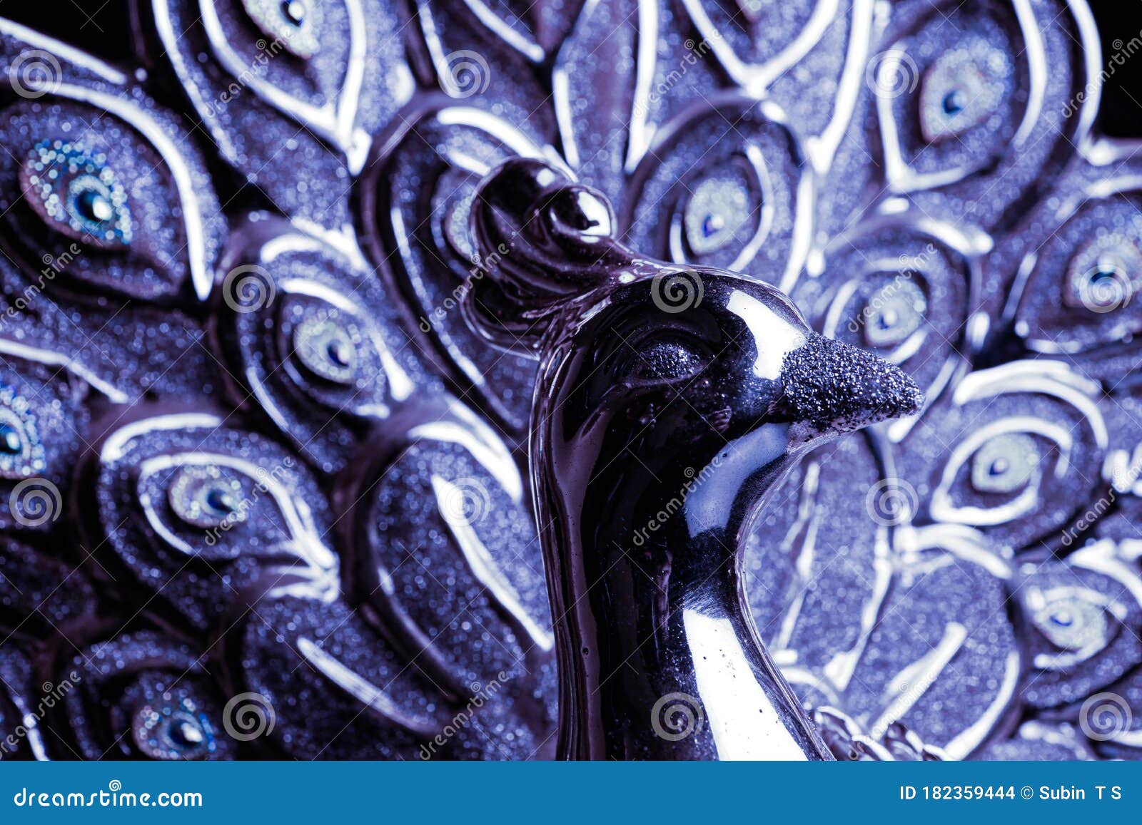 A Beautiful Gold Peacock Isolated on Black Background Stock Photo