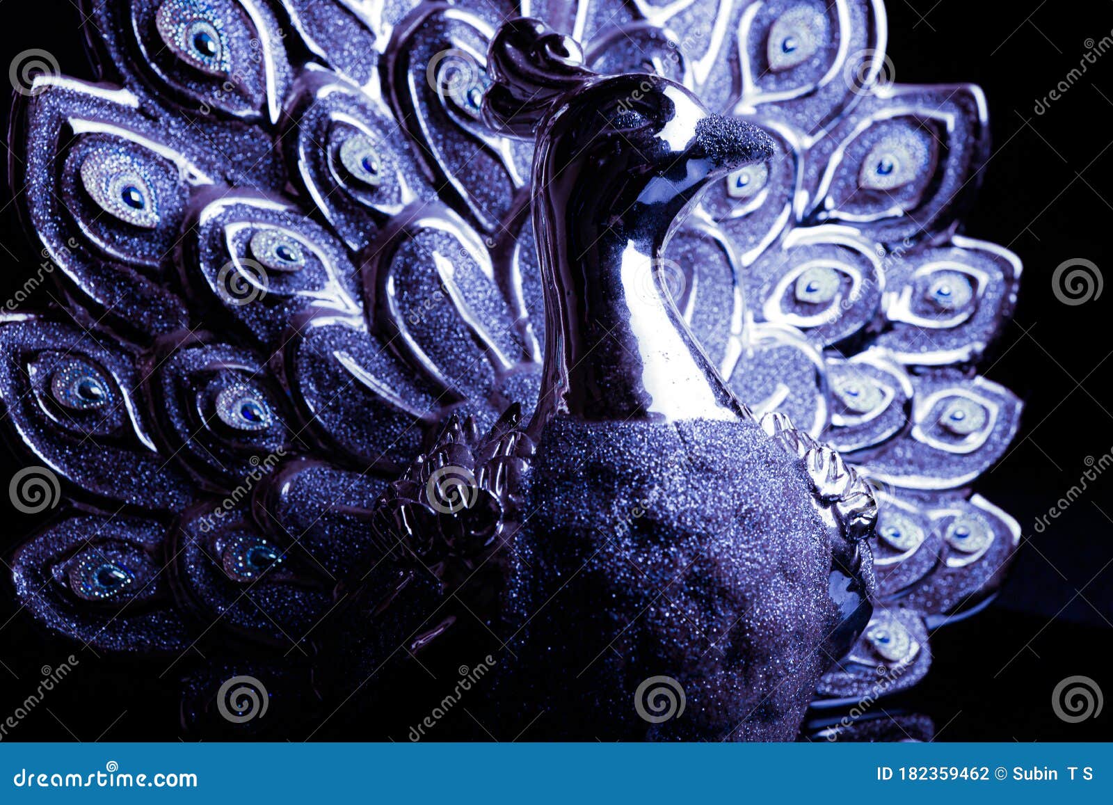 A Beautiful Gold Peacock Isolated on Black Background Stock Photo