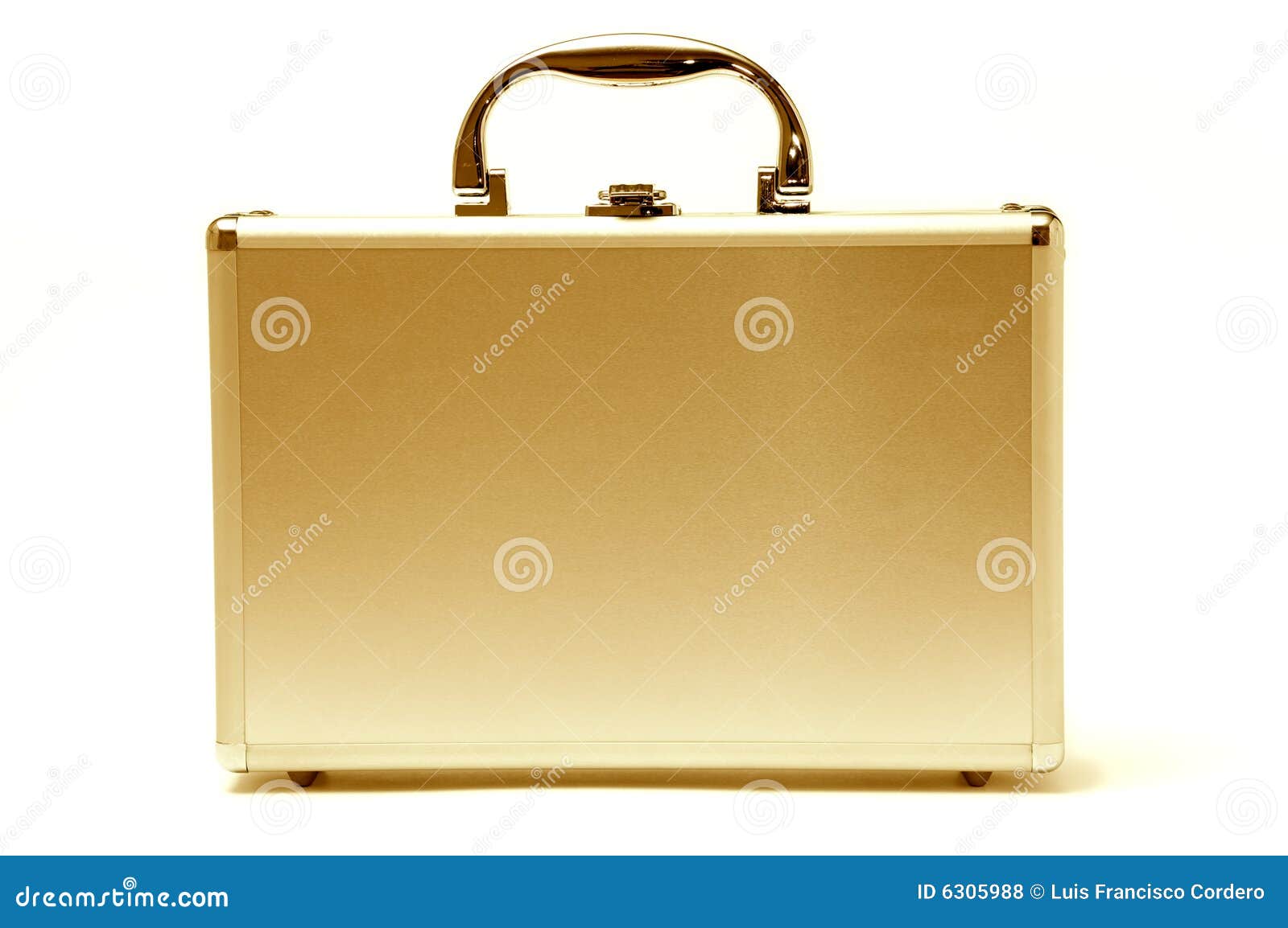 beautiful golden briefcase