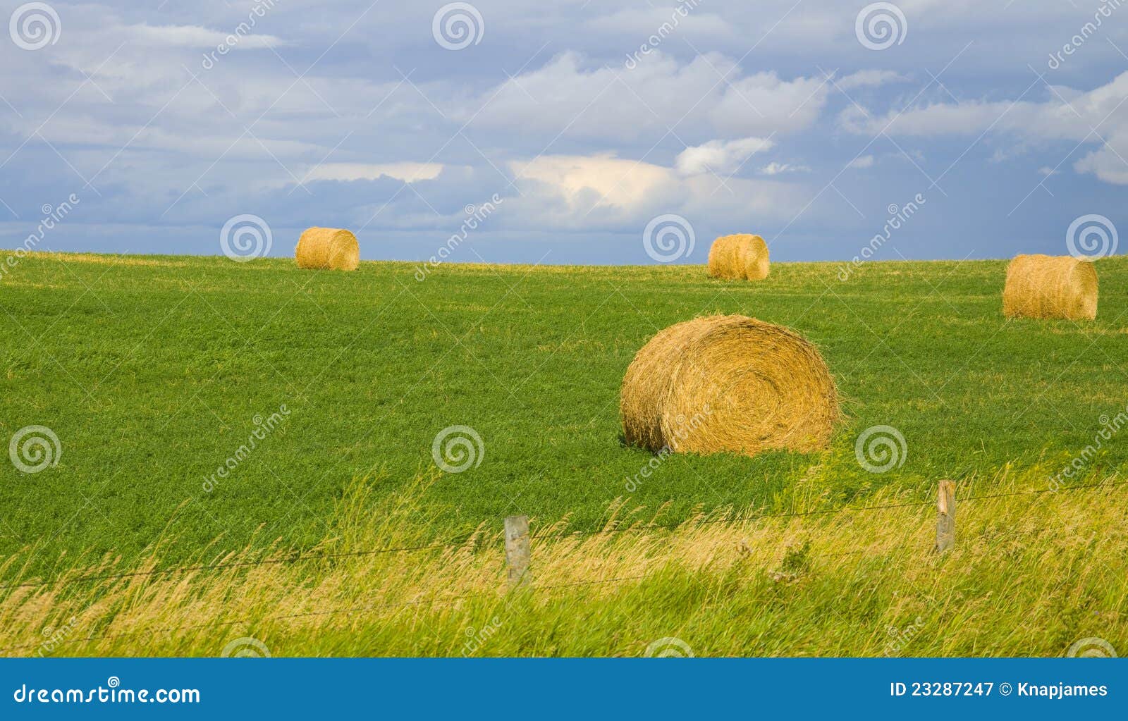 Beautiful golden hay stock image. Image of harvester 23287247