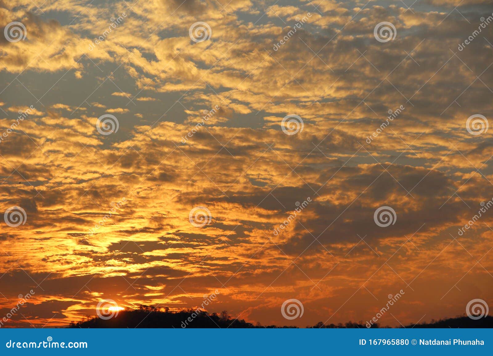 Beautiful Golden Sky Like the Golden Sky Background Stock Photo - Image of  color, flowers: 167965880