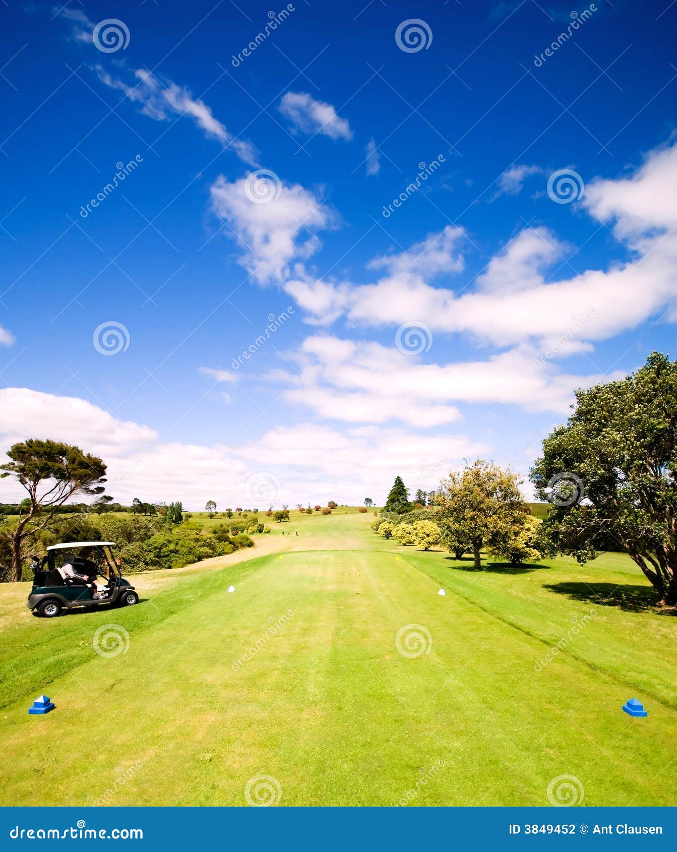 Beautiful Golf Green stock photo. Image of recreation 3849452