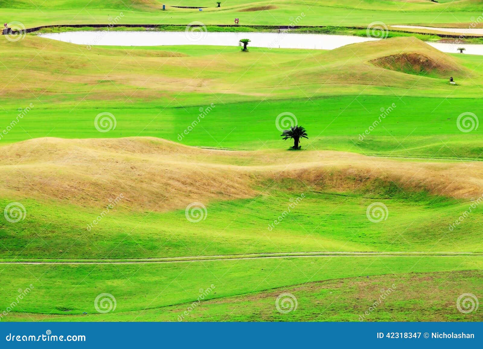 beautiful golf place with nice background stock image image of plain nice background