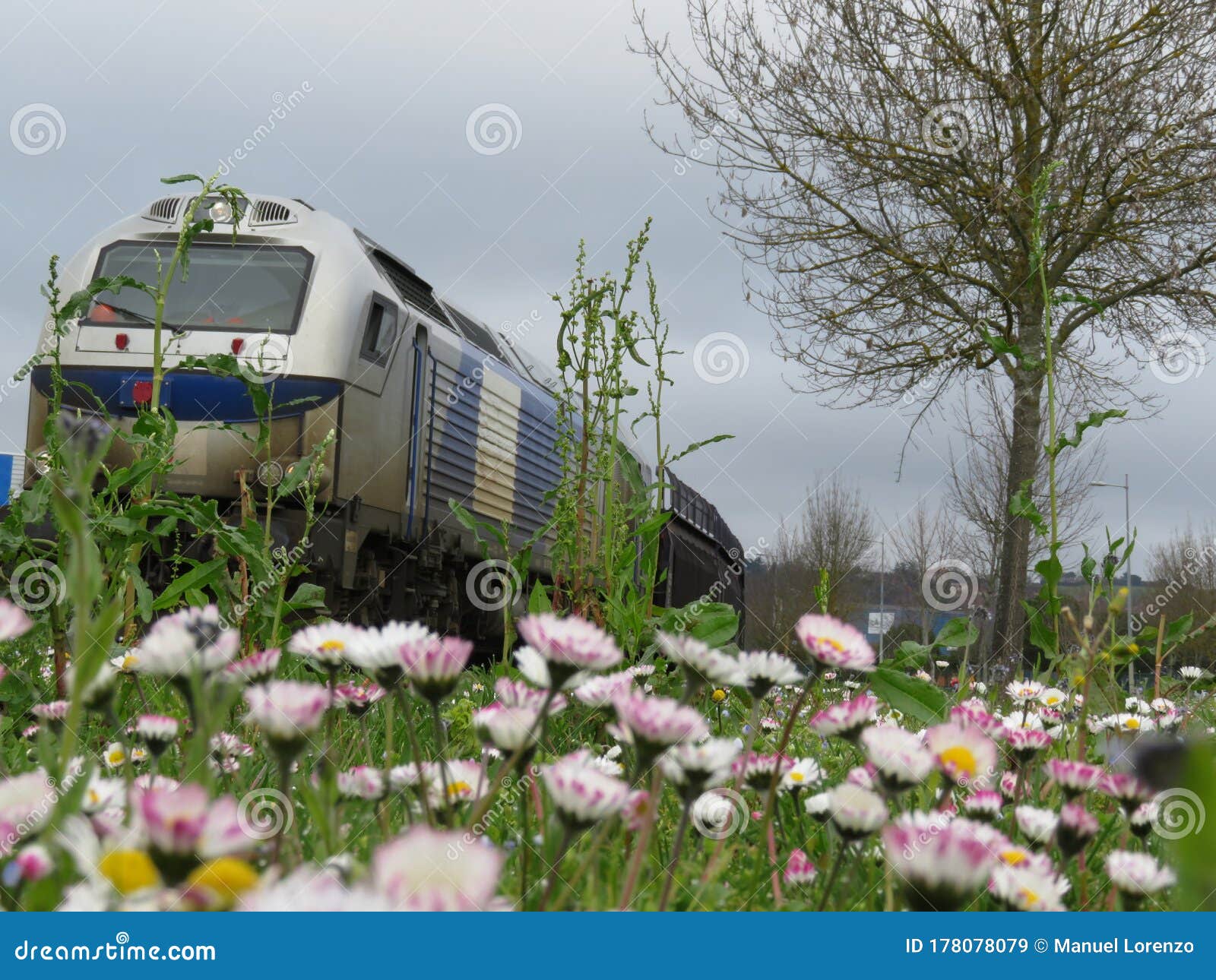 beautiful goods train with ecologically sustainable transport flowers