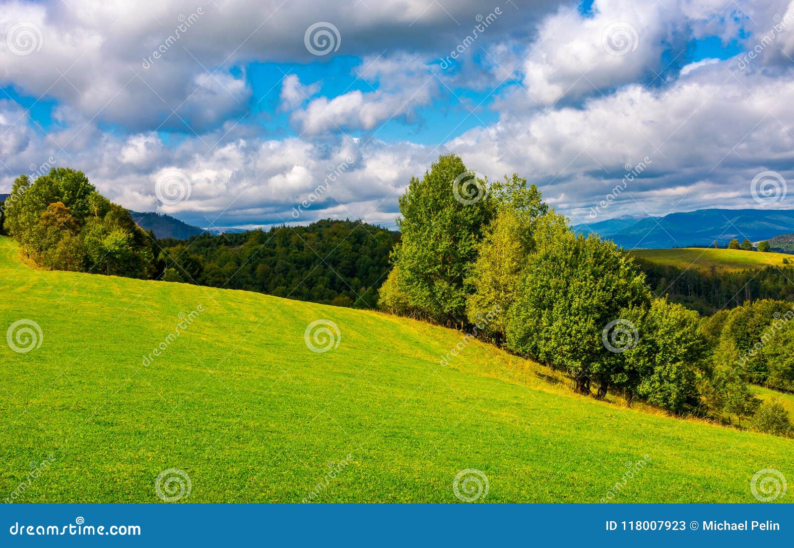 Hillside Photos and Images