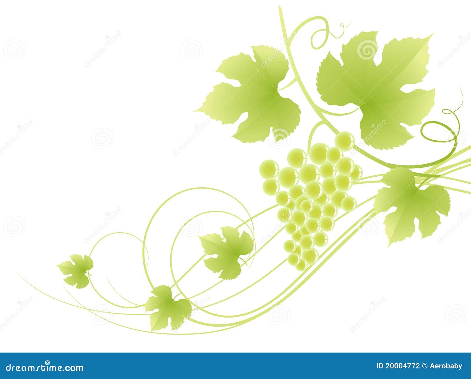 Beautiful Green Grape Vine Background. Stock Vector Illustration of