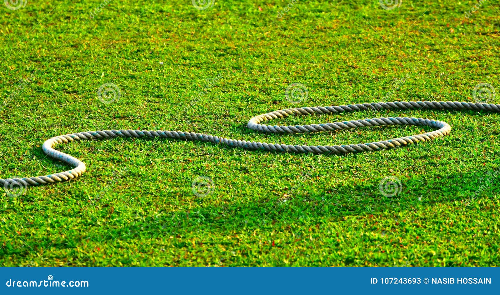 847 Rope Made Grass Stock Photos - Free & Royalty-Free Stock Photos from  Dreamstime