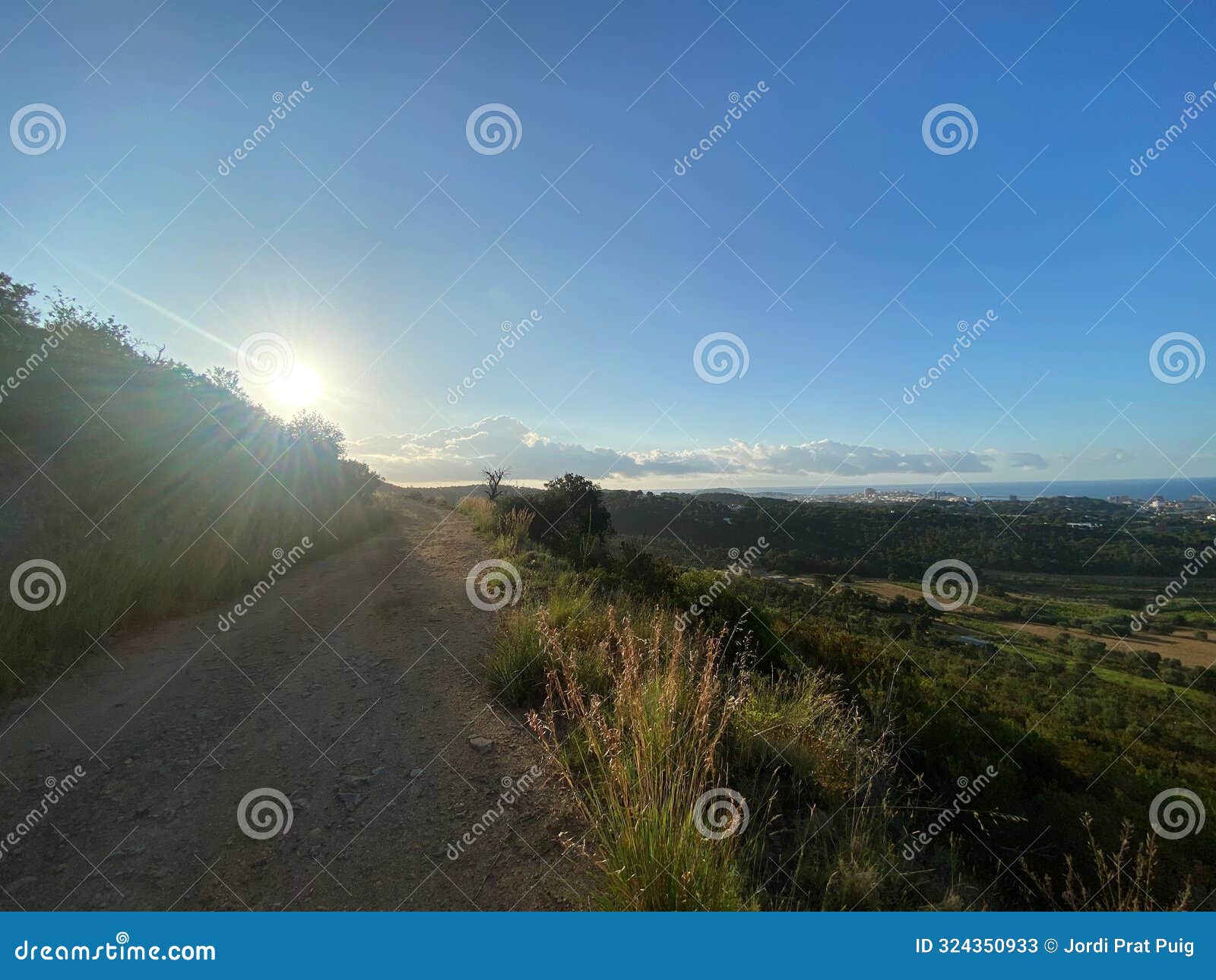 beautiful green mountain hike landscape in gavarres catalonia from a gravel way