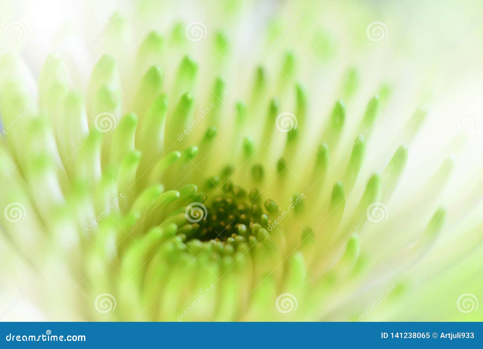 Beautiful Green Nature ,   Abstract   Energy of Plant. Stock Image - Image  of artistic, creative: 141238065