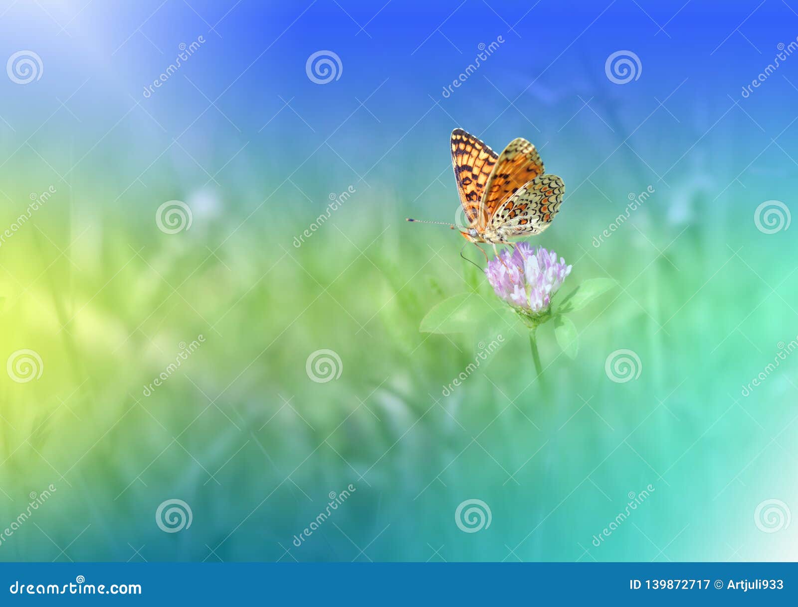 76 Deep Blue Wallpaper WallpaperSafari