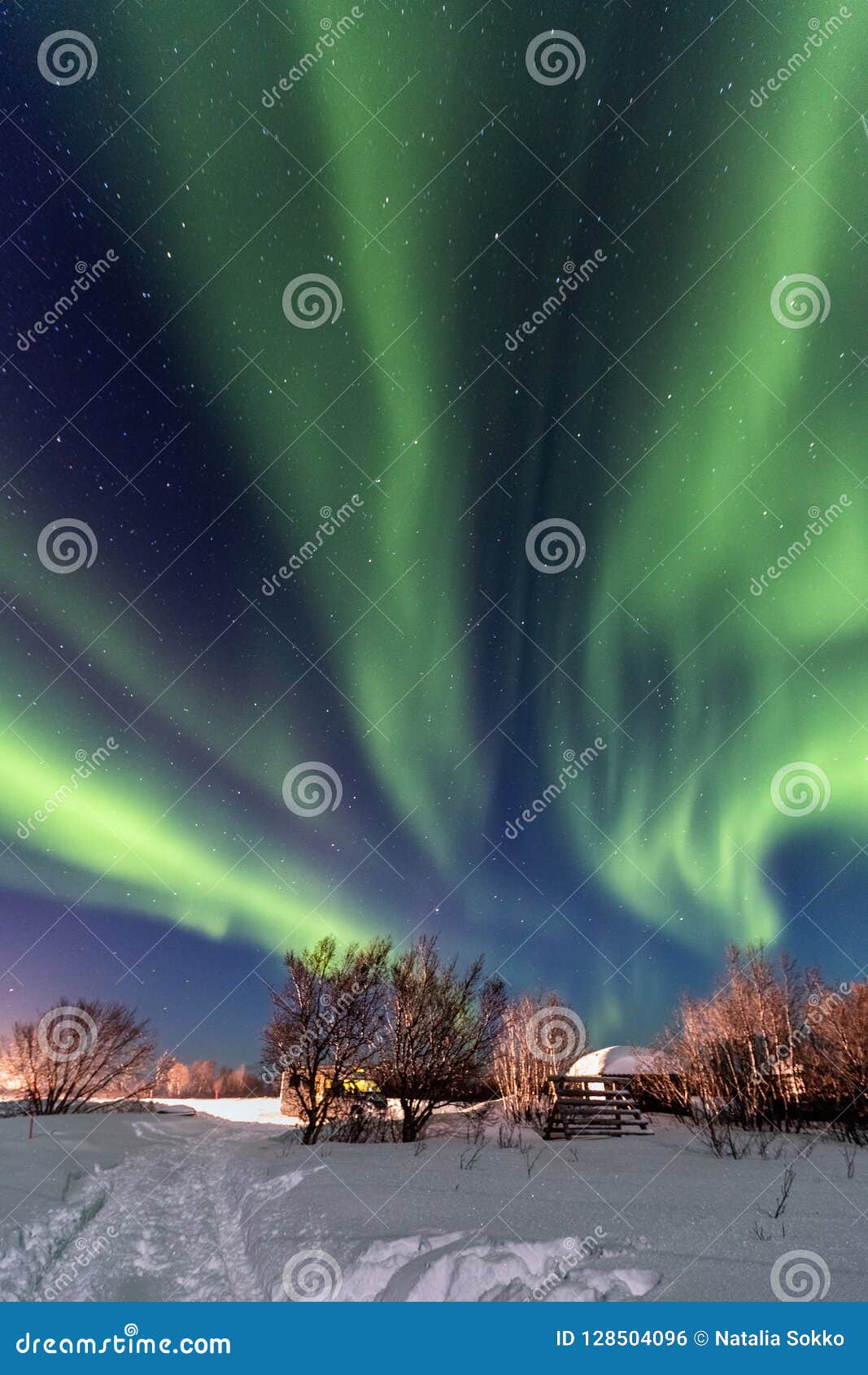 Beautiful Green Northern Lights In The Blue Sky Stock Photo Image Of