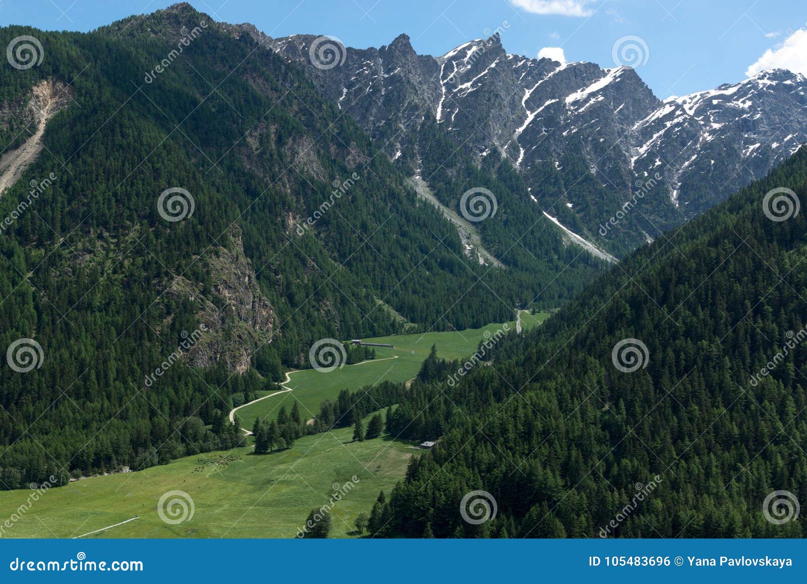 Beautiful Green Valley With Covered Snow Mountain Peaks Stock Photo